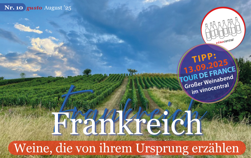 Blick auf die Rebzeilen eines Weinbergs in Frankreich