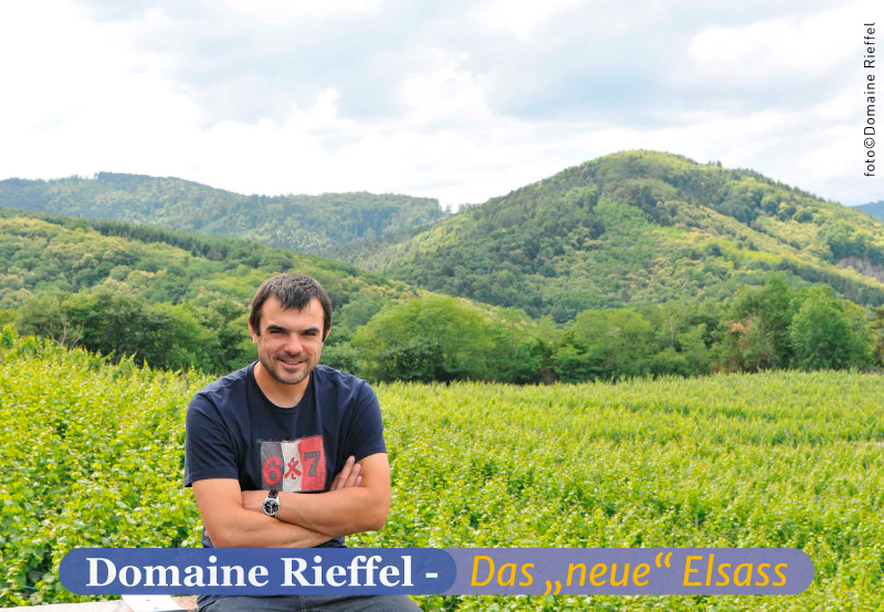 Das Bild zeigt Lucas Rieffel in seinem Weinberg vor den rottenden Hügeln des Elsass