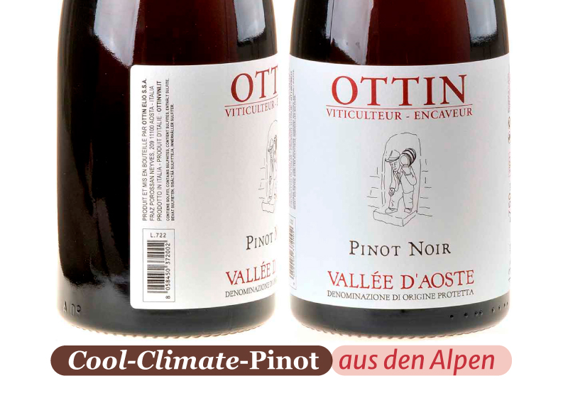 Ein Bild einer Pinot Noir Vallee d’Aoste Flasche mit de Details des Etiketts