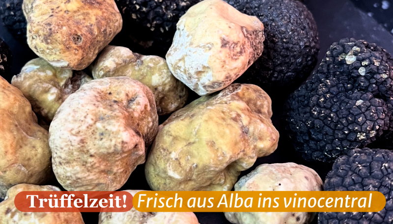 Ein Bild von weißen und schwarzen Trüffeln aus dem Piemont