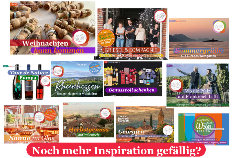 Das Bild zeigt eine Fotomontage verschiedenster Newsletter Titelseiten  unserer Serie mit dem Ziel unser Newsletter Archiv zu bewerben