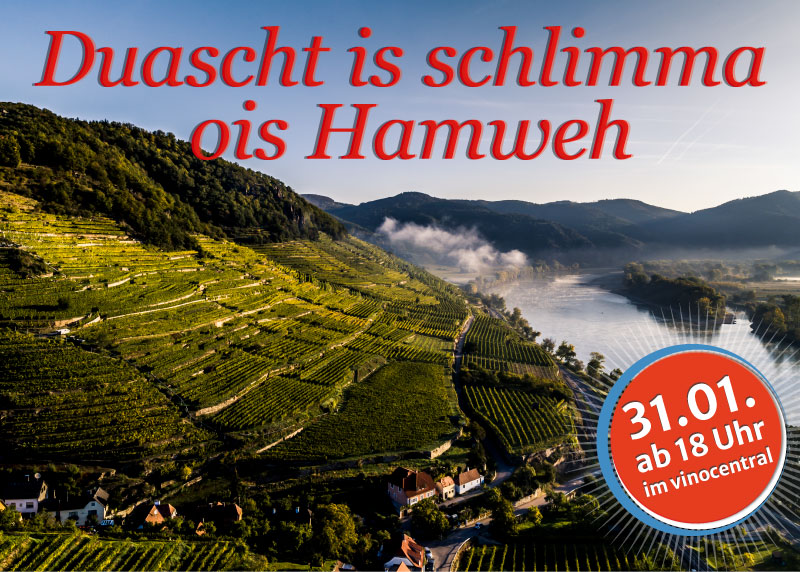 Ein Bild einer Östrreichischen Steillage mit einem Werbeslogan für die Veranstaltung Duascht is schlimma ois Hamweh