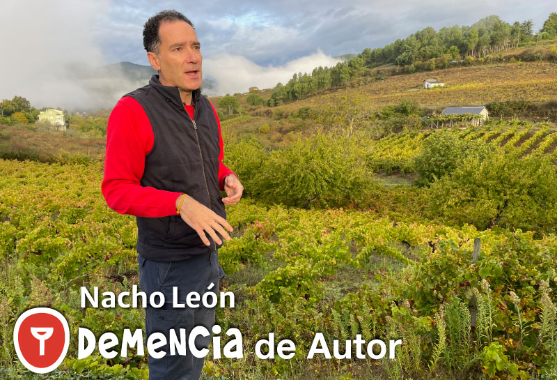 Ein Bild von Nacho León in seinem Weinberg