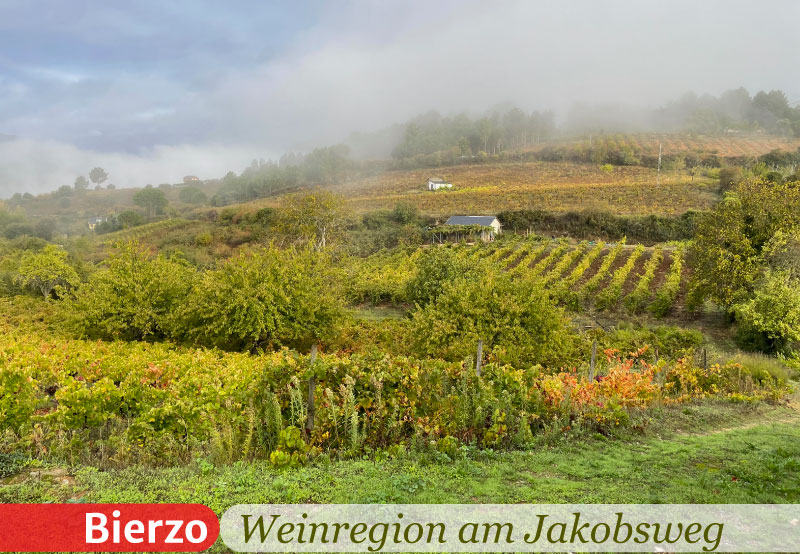Ein typisches Bild einer Kulturlandschaft mit Weinbergen im Bierzo