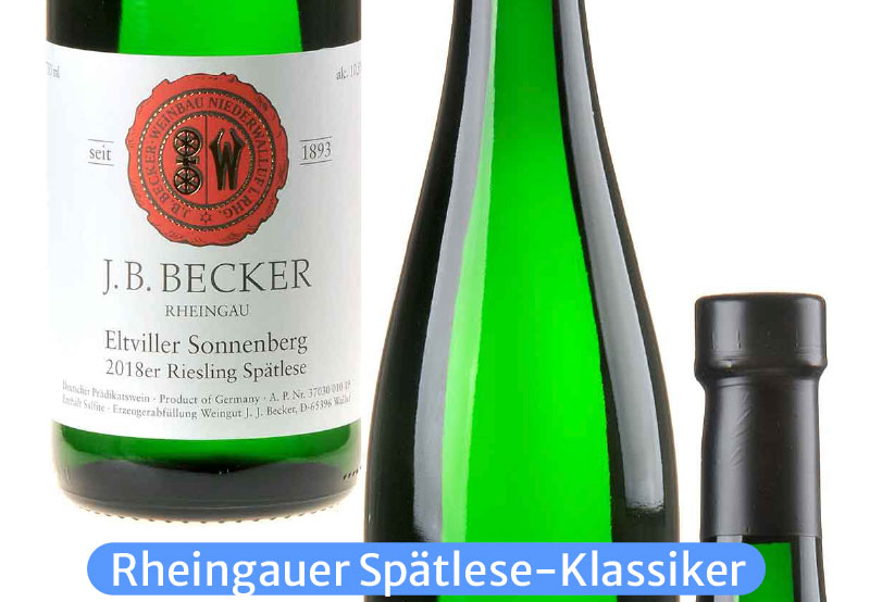 Ein Bild von zwei Flaschen des Eltviller Sonnenberg Riesling Spätleses Riesling Kabinett von Becker mit Blick auf das vordere und rückseitige Etikett