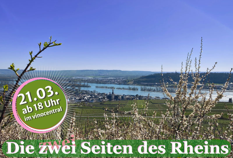 Der Blick auf den Rhein durch blühende Obsbäume an einem wolkenlosen Frühlingstag