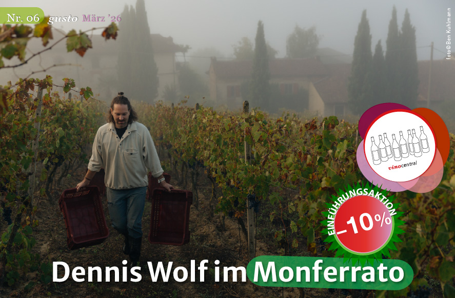Ein Bild von Dennis Wolf im Monferrato zwischen den Rebzeilen
