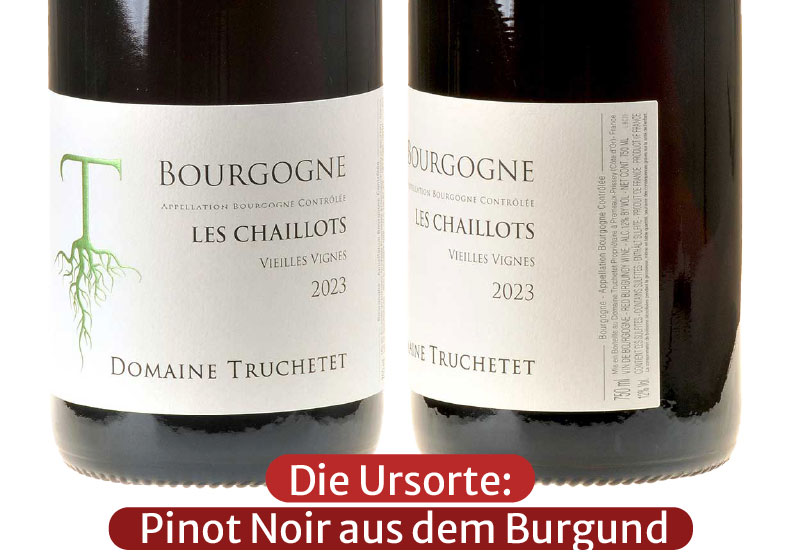 Ein Bild von zwei Flaschen unseres Bourgogne Rouge Les Chaillots Vieilles Vignes