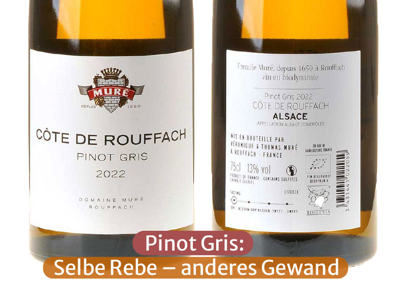 Ein Bild von zwei Flaschen unseres Pinot Gris Côte de Rouffach Ac