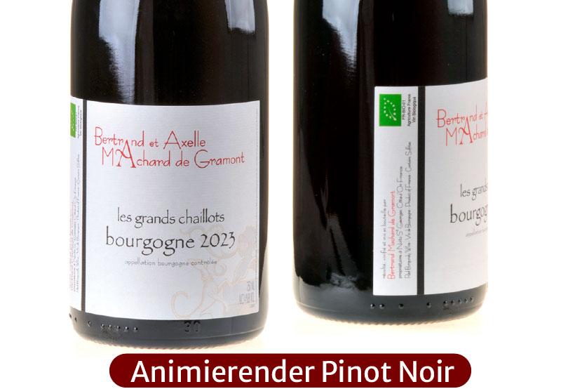 Ein Bild von zwei Flaschen unseres Bourgogne 2023 Les Grands Chaillots
