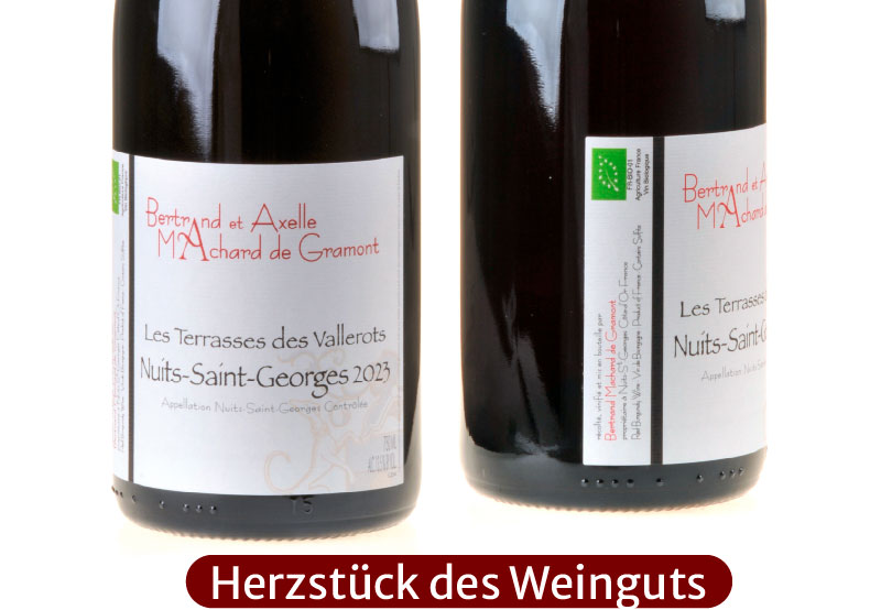 Ein Bild von zwei Flaschen unseres Nuits-Saint-Georges 2023