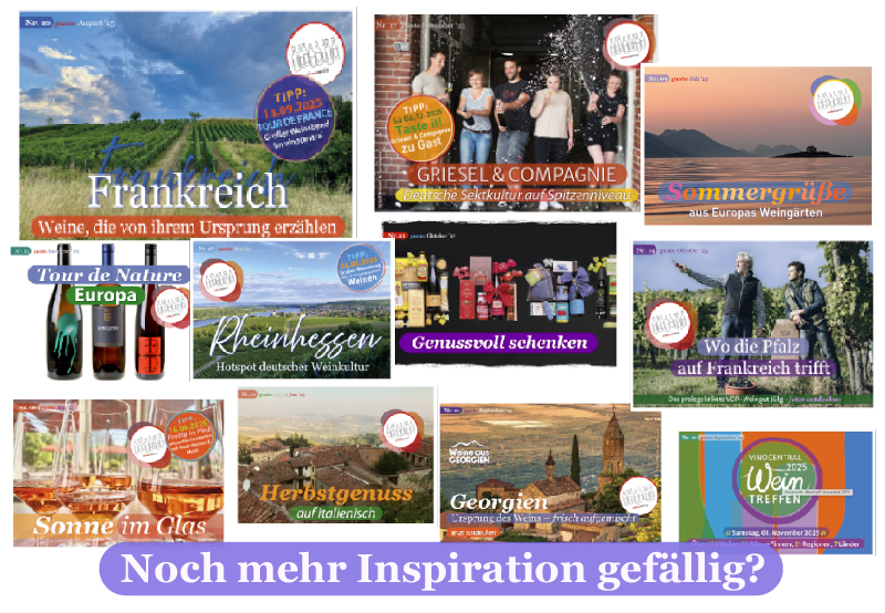 Ein Banner mit den letzten 12 Newsletter Motiven